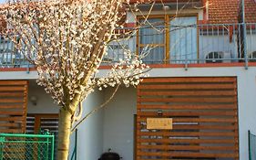 Duplex Apartman Palava